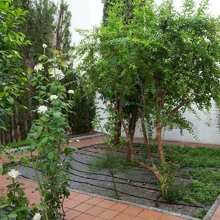 Apartamento De Lujo En Antiguo Convento Granada Dış mekan fotoğraf
